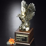 Fearless Eagle 17